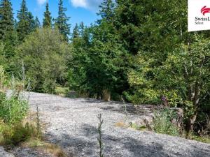 Prodej komerčního pozemku, Stará Ves - Žďárský Potok, 1558 m2