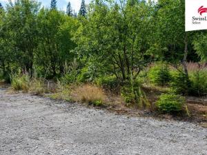 Prodej komerčního pozemku, Stará Ves - Žďárský Potok, 1558 m2