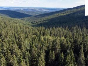 Prodej komerčního pozemku, Stará Ves - Žďárský Potok, 1558 m2