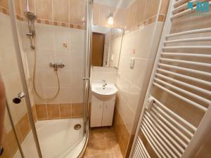 Pronájem bytu 1+1, Jihlava, Erbenova, 40 m2