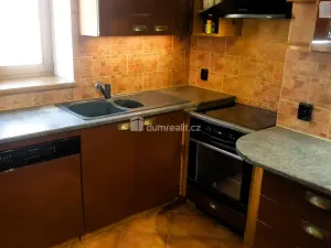 Prodej rodinného domu, Hodonín, Plucárna, 303 m2