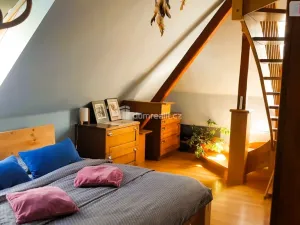 Prodej rodinného domu, Hodonín, Plucárna, 303 m2