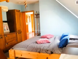 Prodej rodinného domu, Hodonín, Plucárna, 303 m2