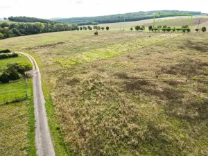 Prodej pozemku pro bydlení, Železná, 3530 m2