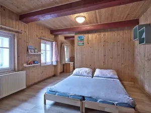 Prodej chalupy, Černý Důl, 130 m2