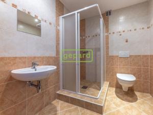 Prodej vícegeneračního domu, Praha, Hekova, 478 m2