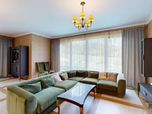 Prodej rodinného domu, Stará Huť, Na Čihadle, 543 m2