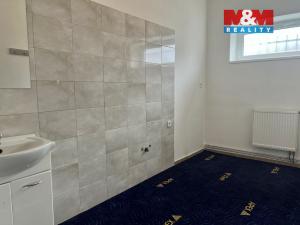 Pronájem obchodního prostoru, Hora Svatého Šebestiána, 160 m2