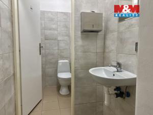 Pronájem obchodního prostoru, Hora Svatého Šebestiána, 160 m2