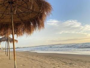 Prodej bytu 3+kk, Golem, 66 m2