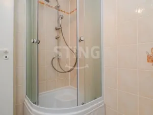 Prodej vily, Ostrava - Slezská Ostrava, Bukovanského, 310 m2