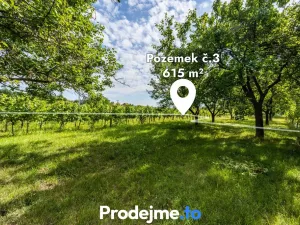 Prodej rodinného domu, Nový Šaldorf-Sedlešovice, 35 m2