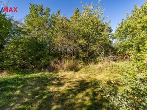 Prodej pozemku pro bydlení, Přestavlky u Čerčan, 725 m2