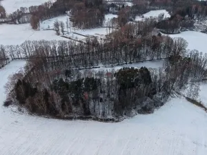 Prodej lesa, Chlum u Třeboně - Žíteč, 389696 m2