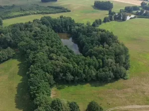Prodej lesa, Chlum u Třeboně - Žíteč, 360000 m2