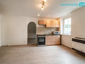 Prodej bytu 1+1, Kraslice, Rybná, 30 m2