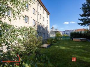 Pronájem bytu 1+1, Jihlava, Havlíčkova, 45 m2