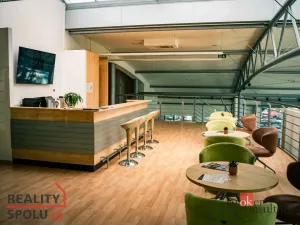 Pronájem kanceláře, Hradec Králové - Pražské Předměstí, Na Okrouhlíku, 13 m2