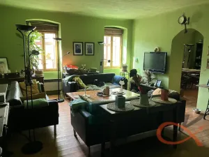 Prodej vícegeneračního domu, Čelechovice na Hané, 438 m2