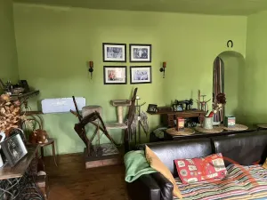 Prodej vícegeneračního domu, Čelechovice na Hané, 438 m2