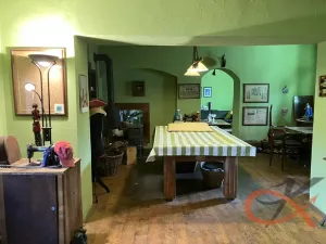 Prodej vícegeneračního domu, Čelechovice na Hané, 438 m2