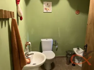 Prodej vícegeneračního domu, Čelechovice na Hané, 438 m2