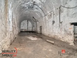 Prodej komerčního pozemku, Olešnice v Orlických horách, 2963 m2