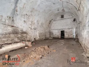 Prodej komerčního pozemku, Olešnice v Orlických horách, 2963 m2