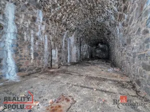 Prodej komerčního pozemku, Olešnice v Orlických horách, 2963 m2