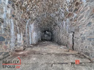 Prodej komerčního pozemku, Olešnice v Orlických horách, 2963 m2