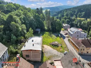 Prodej pozemku pro bydlení, Olešnice v Orlických horách, 2963 m2