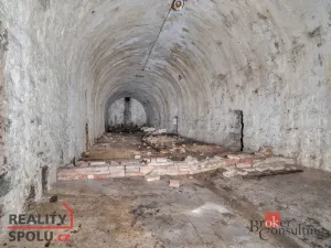 Prodej pozemku pro bydlení, Olešnice v Orlických horách, 2963 m2