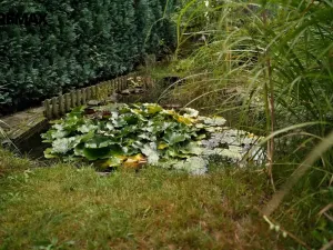 Prodej rodinného domu, Sobkovice, 160 m2