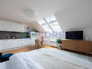 Prodej bytu 1+kk, Praha - Nové Město, Příčná, 30 m2