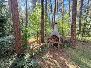 Prodej chaty, Křemže - Chlum, 30 m2