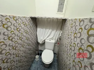 Pronájem bytu 3+kk, Věž, 61 m2