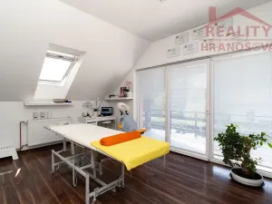 Prodej obchodního prostoru, Dolní Benešov, Vývoz, 31 m2