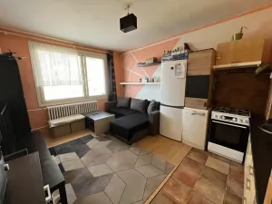 Prodej bytu 1+1, Pardubice - Zelené Předměstí, nábřeží Závodu míru, 40 m2
