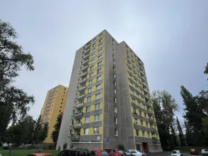 Prodej bytu 1+1, Pardubice - Zelené Předměstí, nábřeží Závodu míru, 40 m2