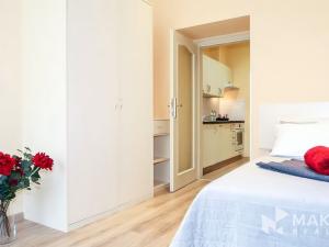 Pronájem bytu 1+1, Praha - Vinohrady, Máchova, 40 m2