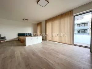 Pronájem bytu 1+kk, České Budějovice, O. Nedbala, 51 m2