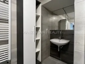 Pronájem bytu 1+kk, České Budějovice, O. Nedbala, 51 m2