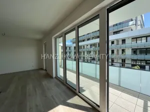 Pronájem bytu 1+kk, České Budějovice, O. Nedbala, 51 m2