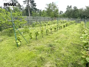 Prodej chalupy, Krahulov, 418 m2