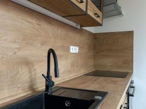 Pronájem bytu 1+1, Ostrava, Výškovická, 36 m2