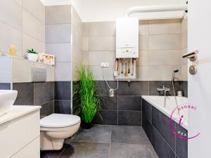 Pronájem bytu 2+kk, Jihlava, Halasova, 50 m2