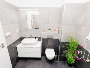 Pronájem bytu 2+kk, Jihlava, Halasova, 50 m2