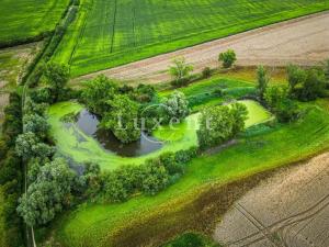 Prodej zemědělského objektu, Běrunice, 600 m2