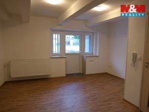 Pronájem bytu 1+kk, Hradec Králové, Střelecká, 43 m2