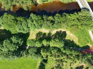 Prodej zahrady, Sušice, 1567 m2